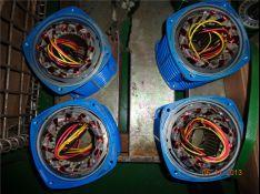 electric  chain hoist safety1591.jpg